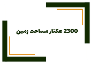 در مجتمع کشت و صنعت فدک مساحت 2300 هکتار میباشد