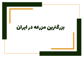 بزرگترین مزرعه در ایران در مجتمع کشت و صنعت فدک