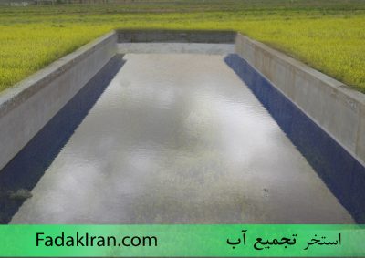 استخر ماهی در بخش کشاورزی مجتمع فدک